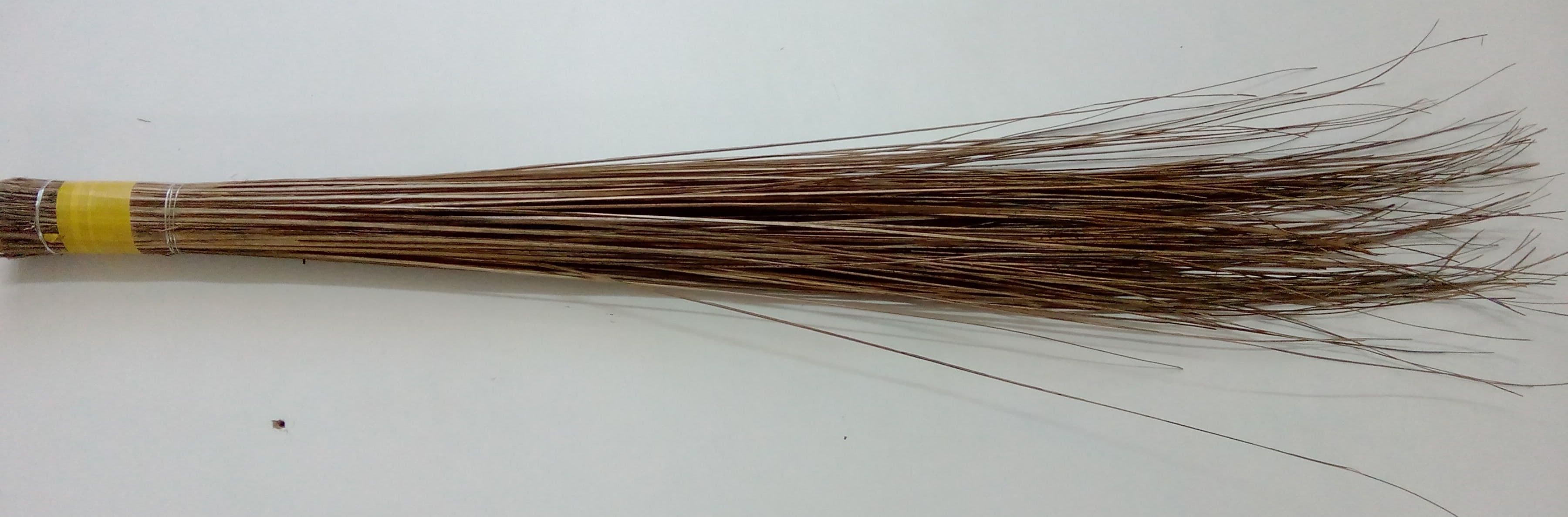 Geol Wooden Wet and Dry Broom