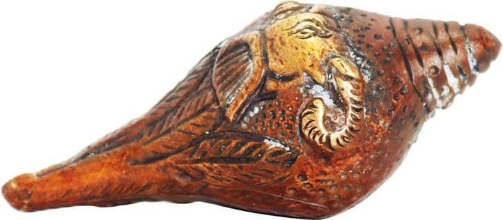 Ark Creation Decorative Shankh view 2