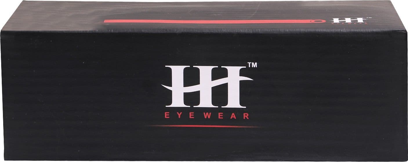 HH Aviator Sunglasses view 5