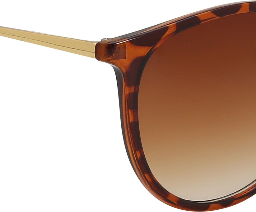 Olvin Wayfarer Sunglasses view 6