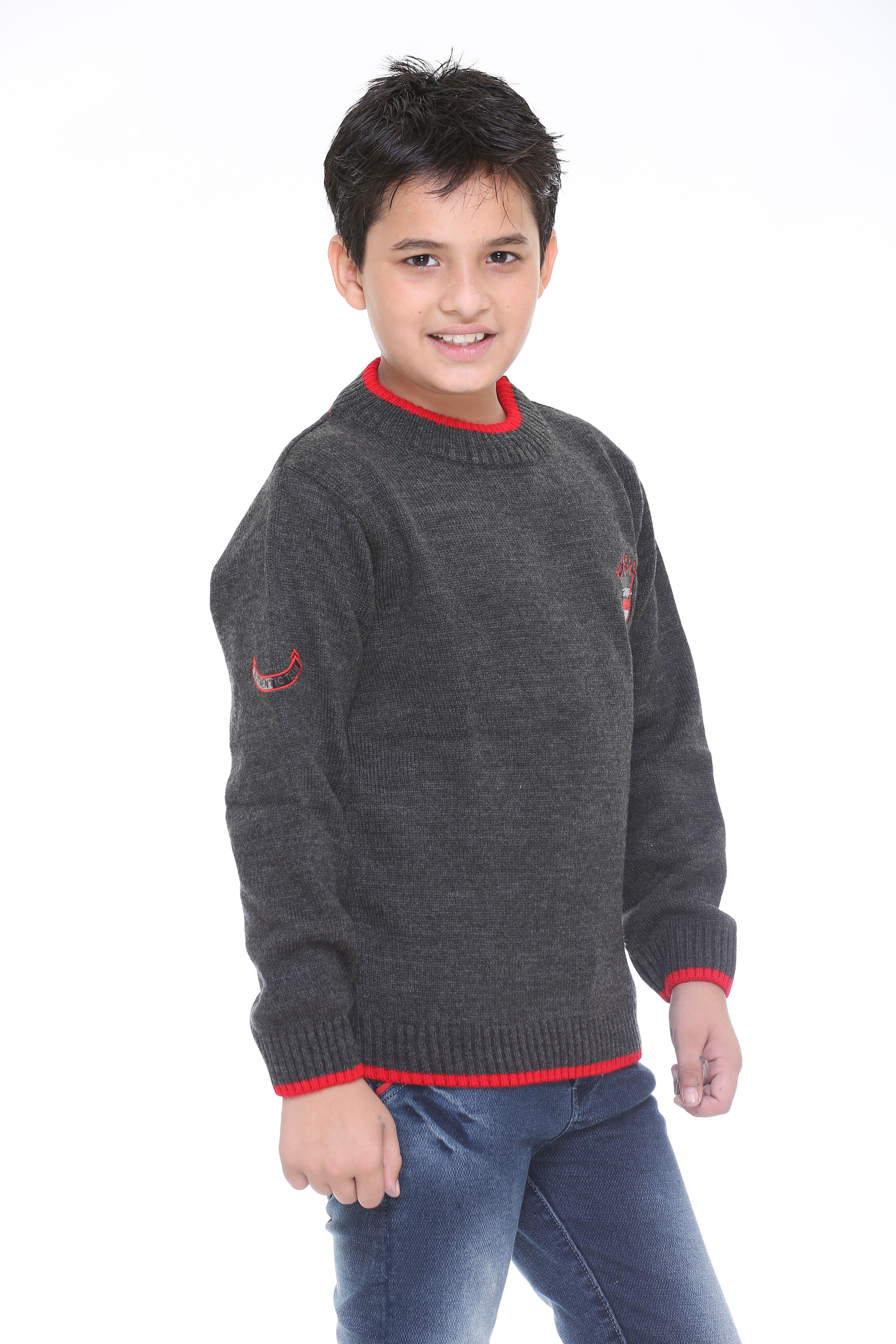 Superkids Solid Round Neck Casual Boy's Sweater view 7