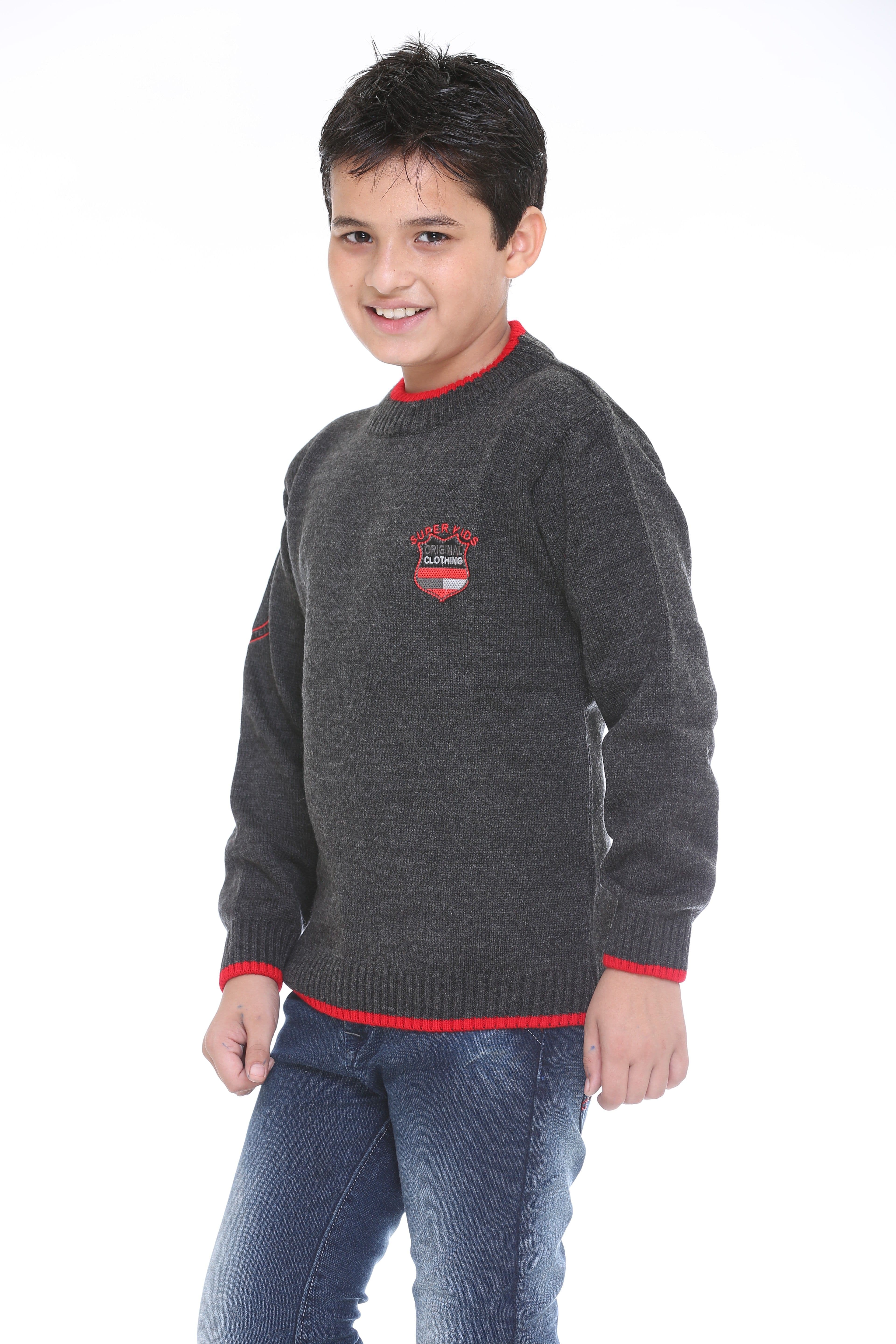 Superkids Solid Round Neck Casual Boy's Sweater view 6