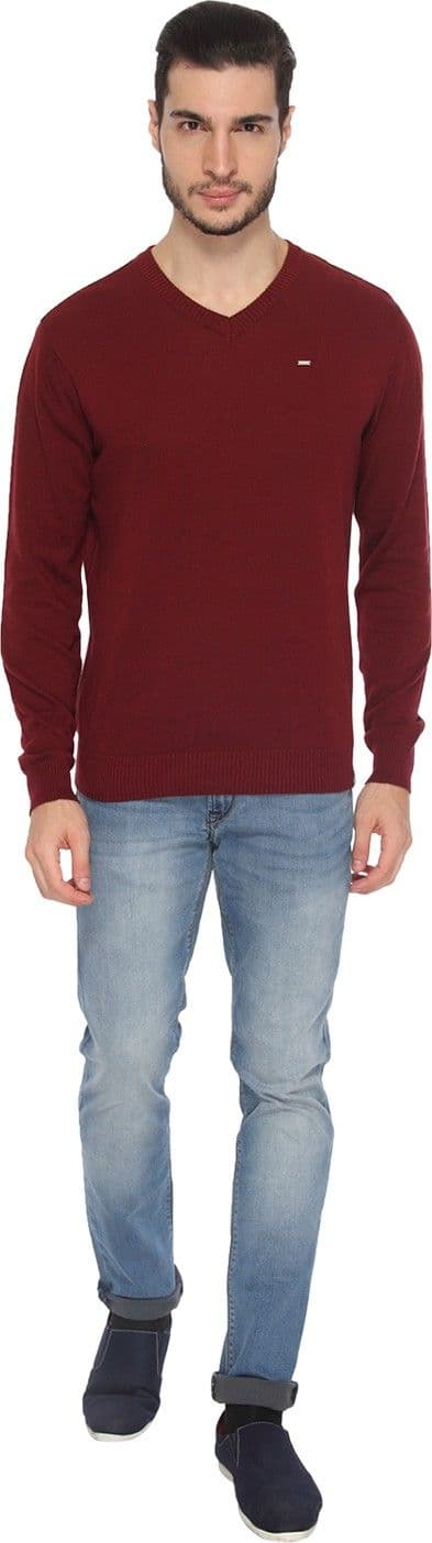 Lee Solid V-neck Casual, Party Men's Sweater view 6
