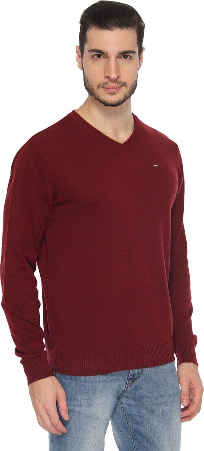 Lee Solid V-neck Casual, Party Men's Sweater view 4