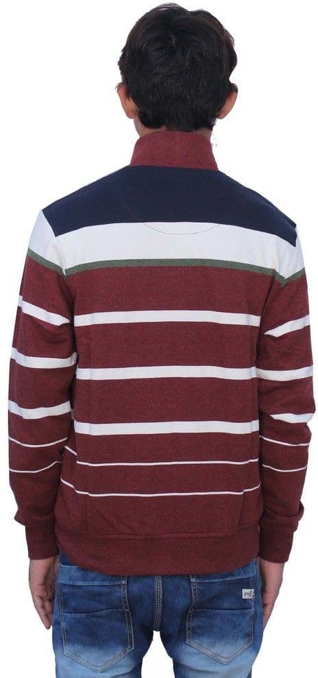 Romano Full Sleeve Striped Men's Sweatshirt view 4