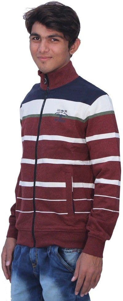 Romano Full Sleeve Striped Men's Sweatshirt view 3