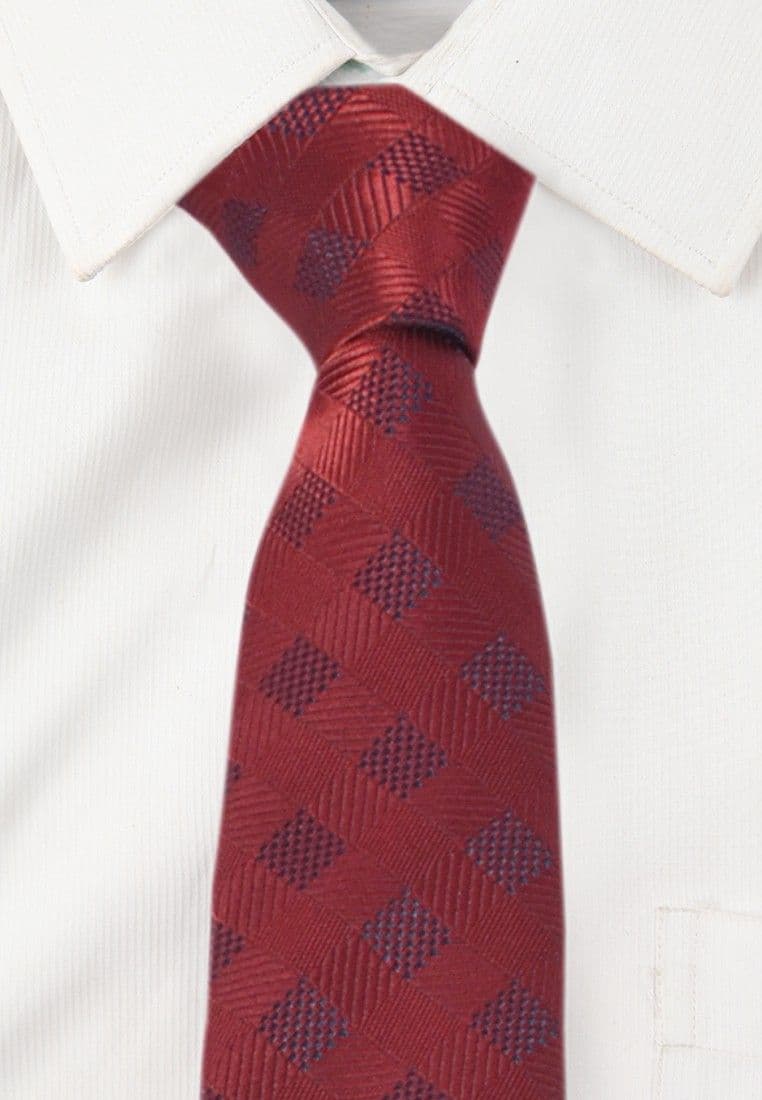 Alvaro Checkered Tie view 3