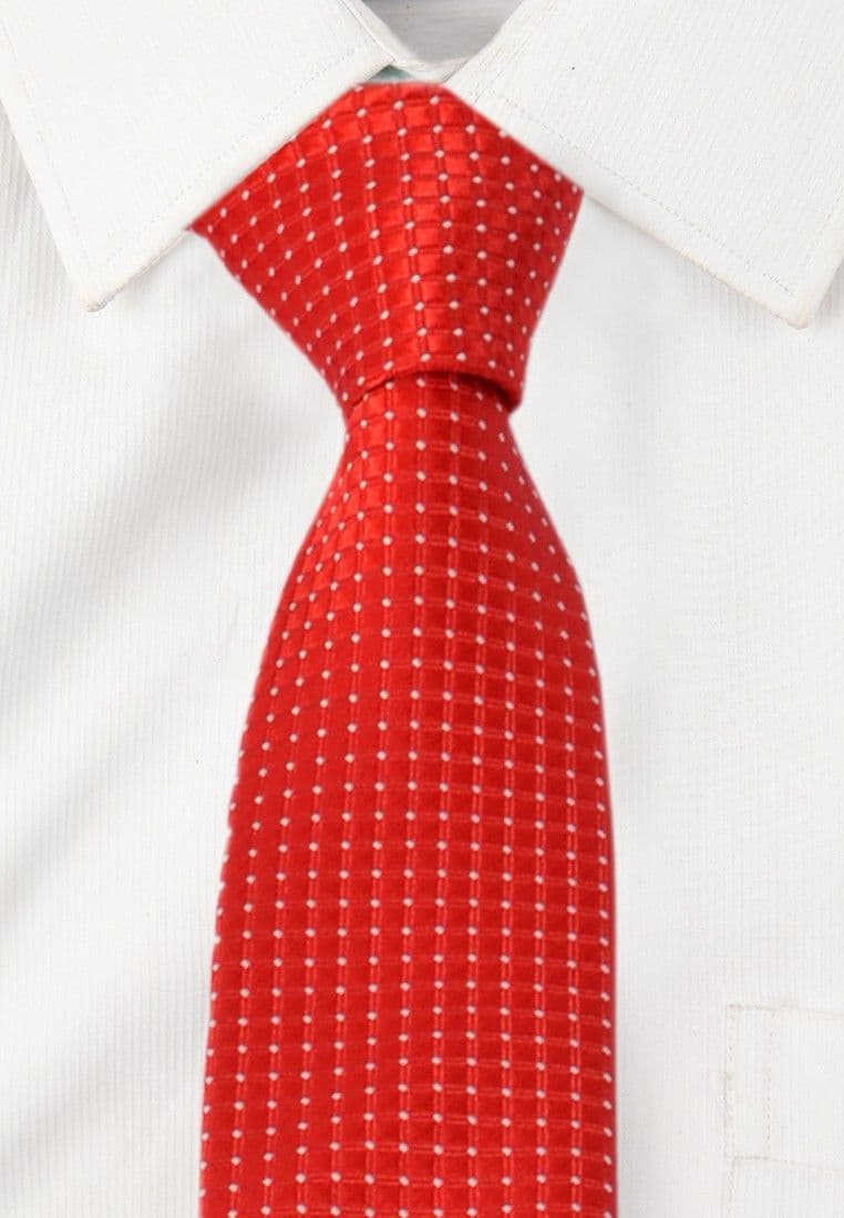 Alvaro Checkered Tie view 3