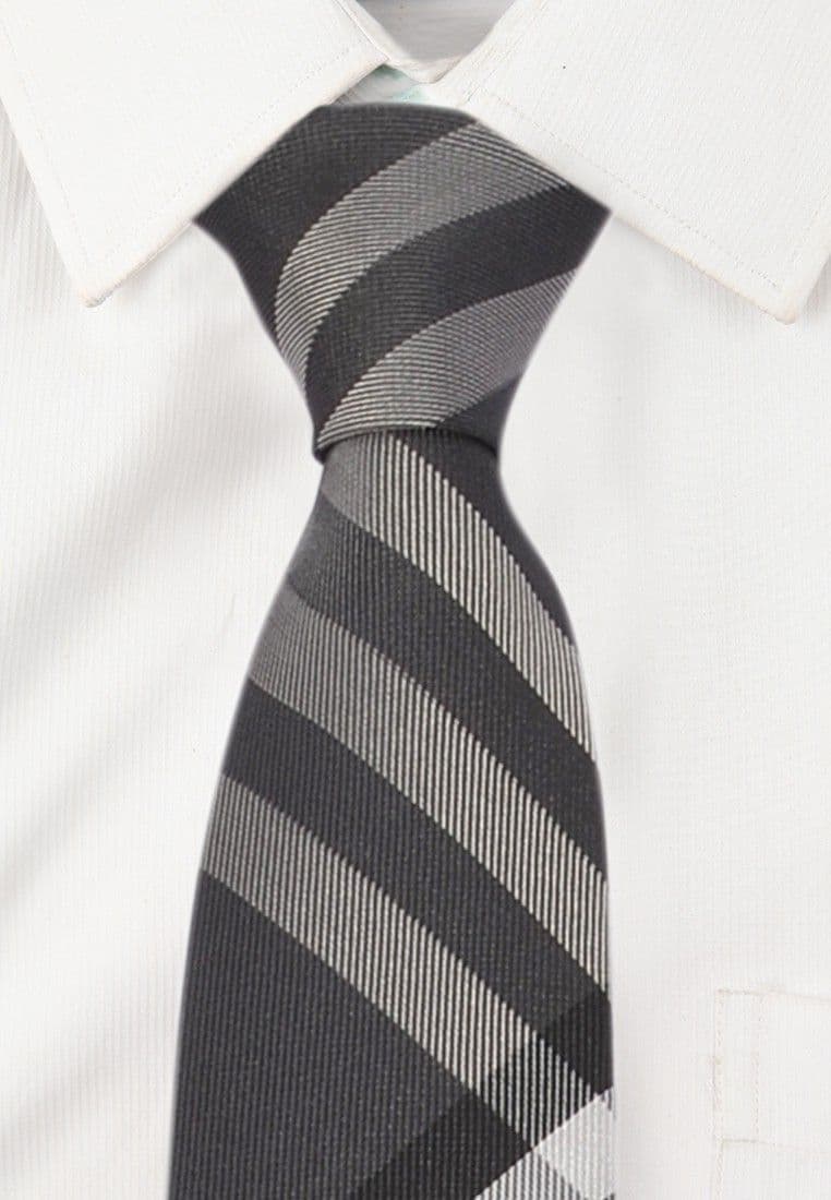 Alvaro Striped Tie view 3