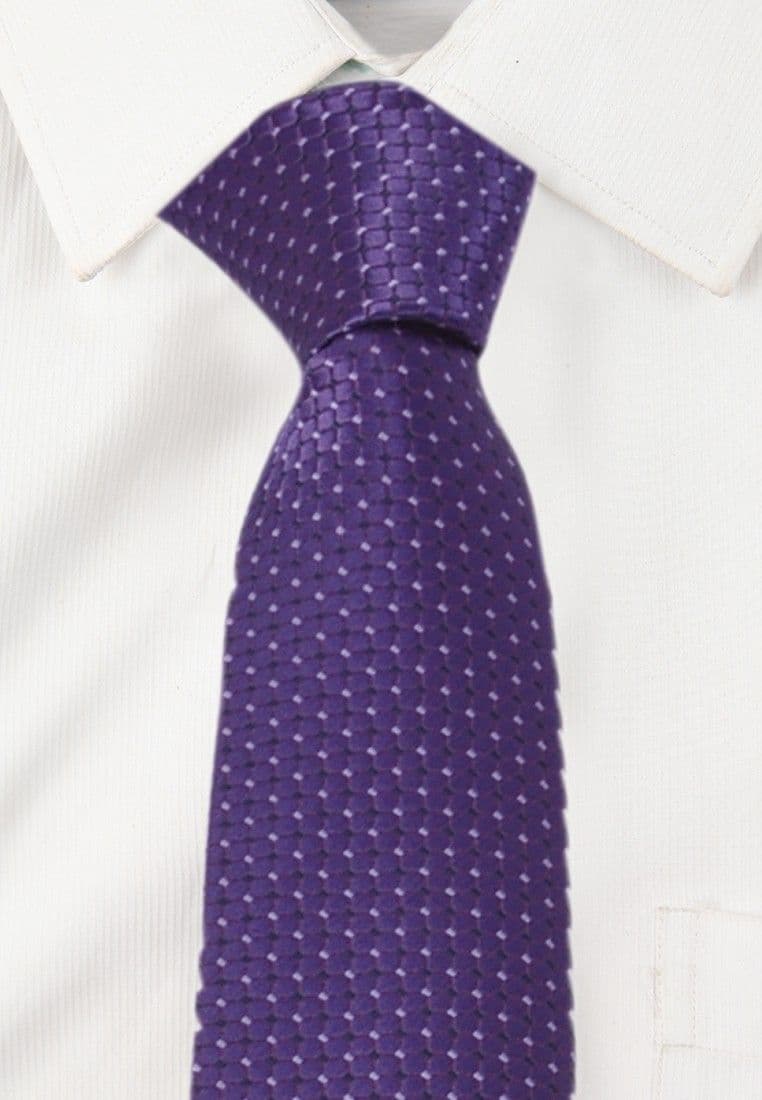 Alvaro Polka Print Tie view 3