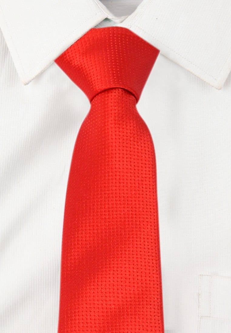 Alvaro Self Design Tie view 3
