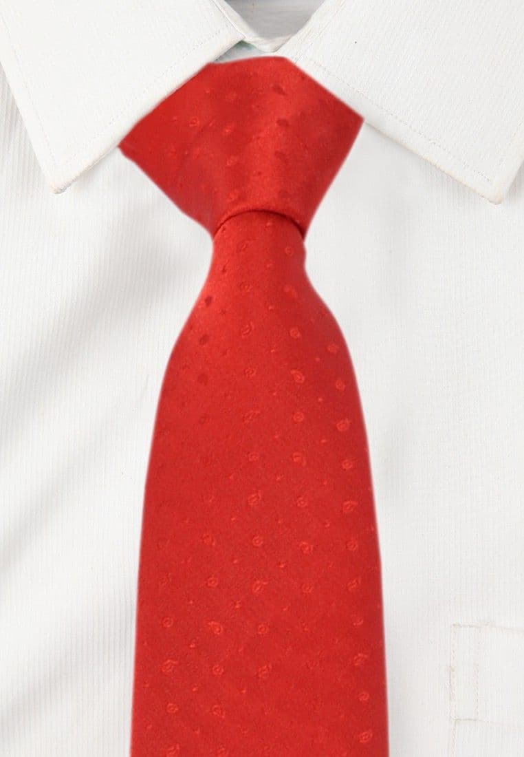 Alvaro Floral Print Tie view 3