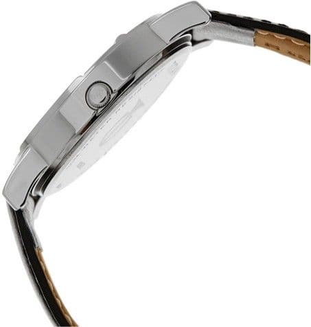Titan 1639SL03 Analog Watch  - For Boys, Men view 3