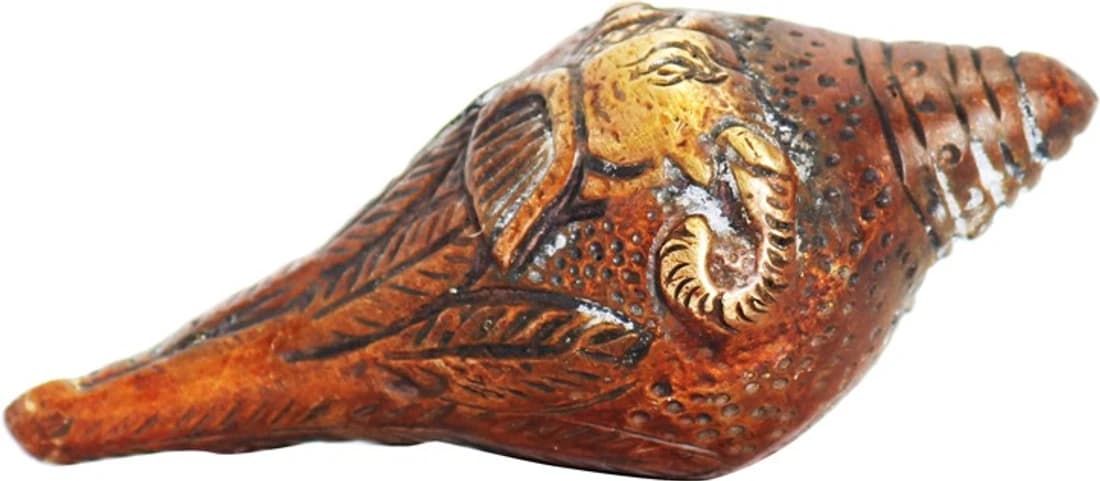 Ark Creation Decorative Shankh