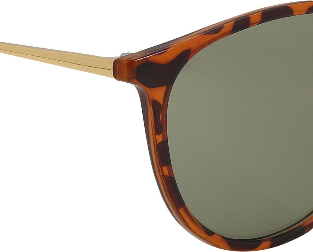 Olvin Wayfarer Sunglasses view 6