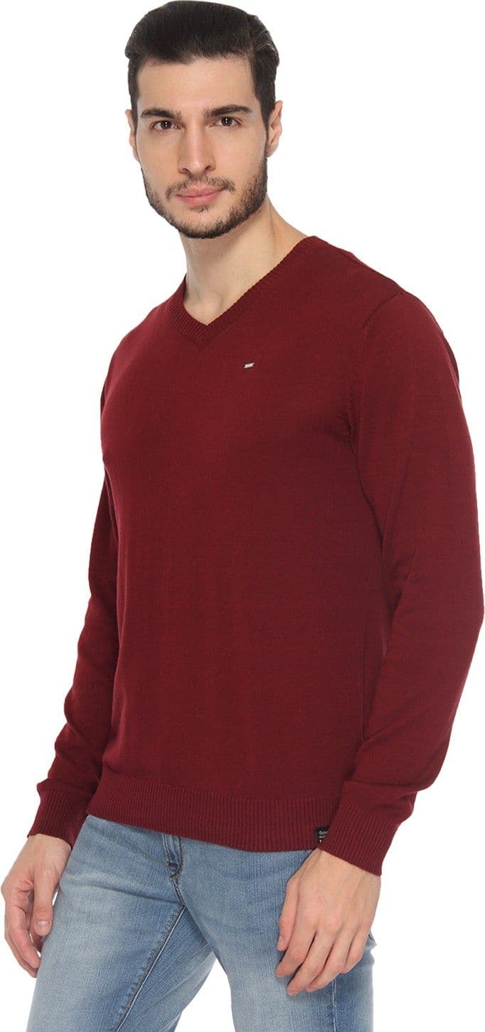 Lee Solid V-neck Casual, Party Men's Sweater view 3
