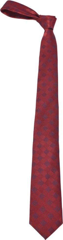 Alvaro Checkered Tie view 4