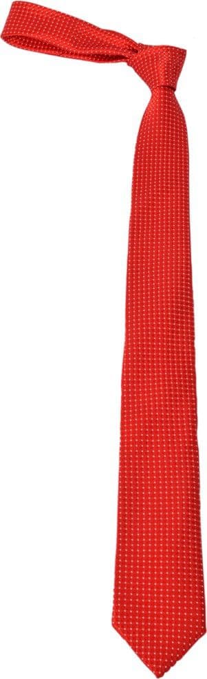 Alvaro Checkered Tie view 4