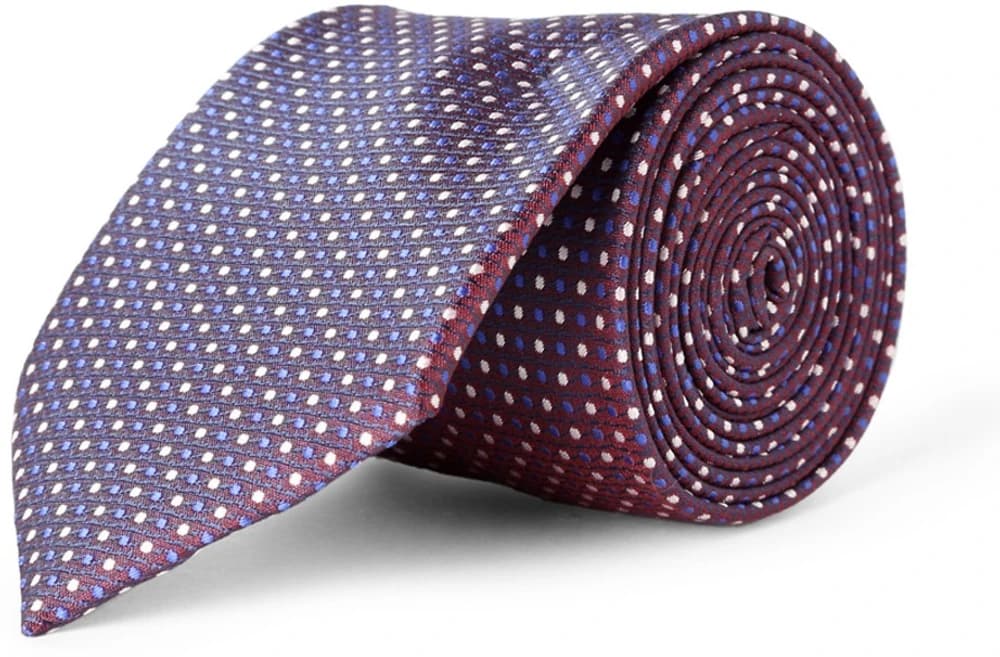Peter England Polka Print Tie
