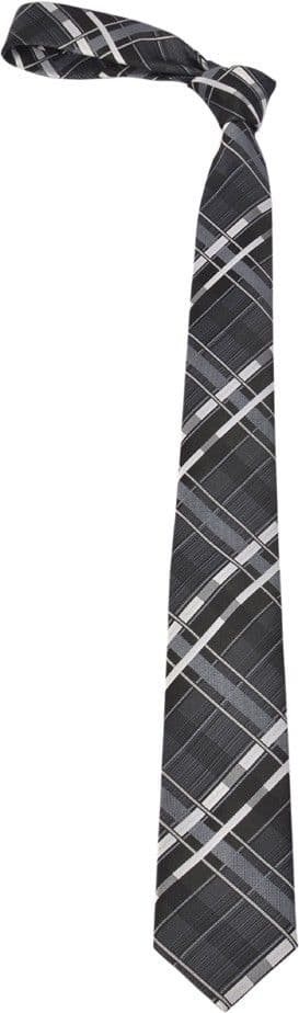 Alvaro Striped Tie view 4