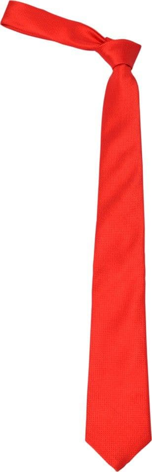 Alvaro Self Design Tie view 4