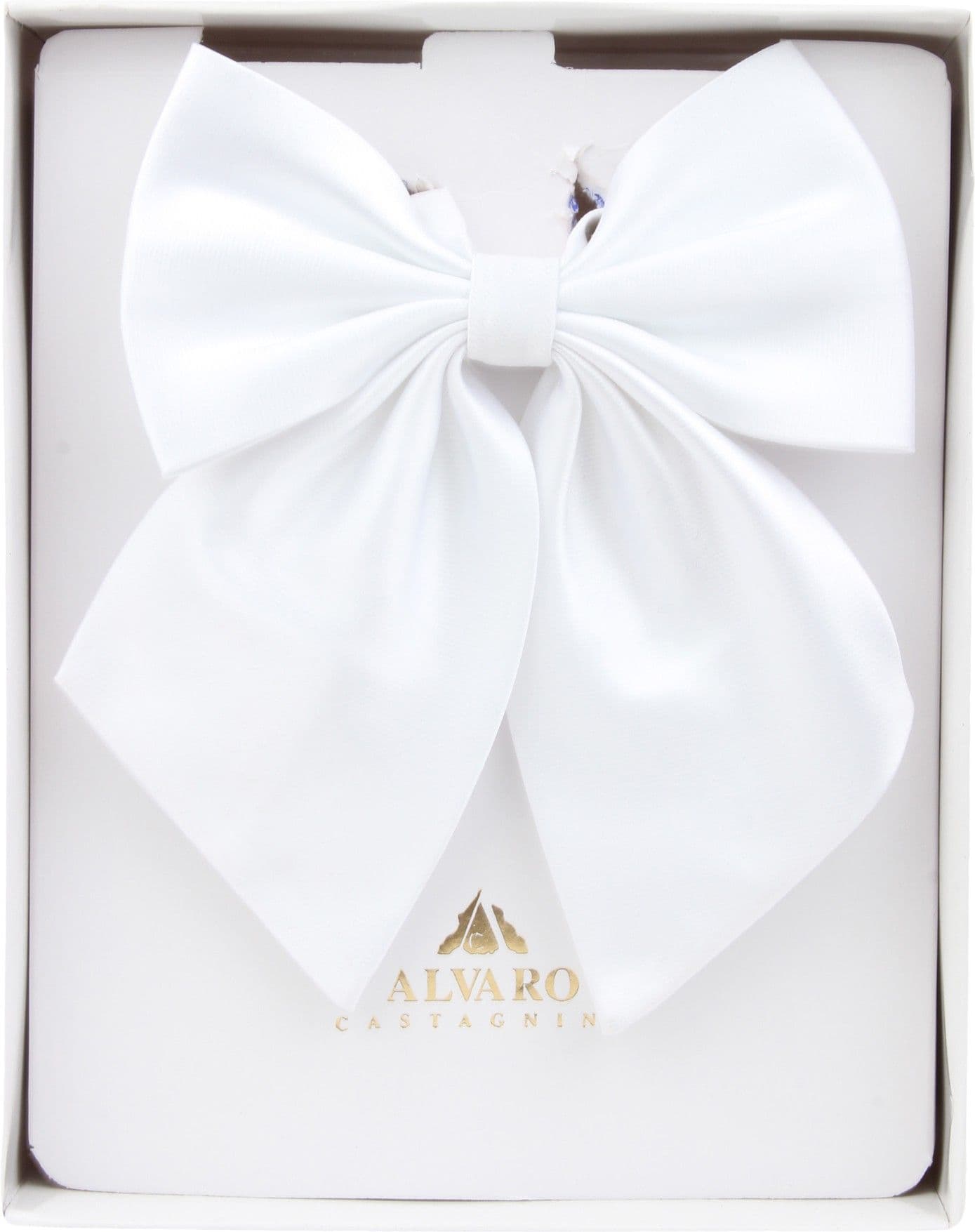 Alvaro Solid Tie view 2