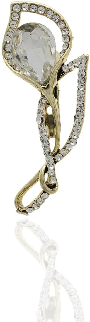 Anuradha Art Silver Polished Brooch