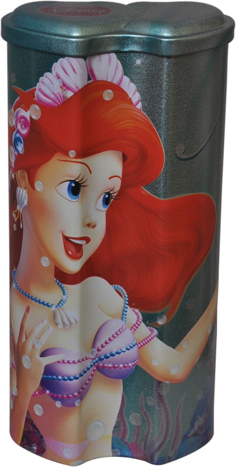 Disney Princess Cartoon Art Metal Pencil Box