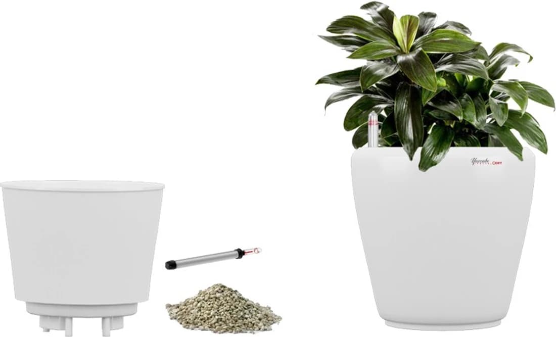 Yuccabe Italia Stoic White Self Watering Planter Plant Container Set