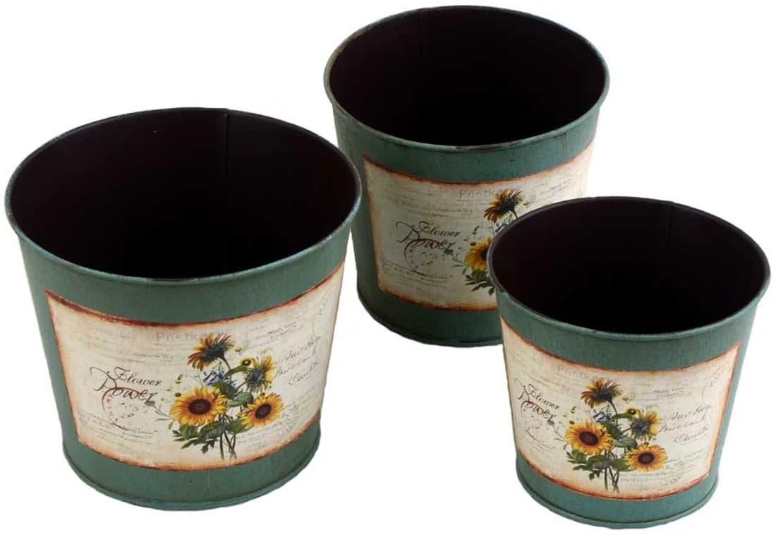 Deziworkz Plant Container Set