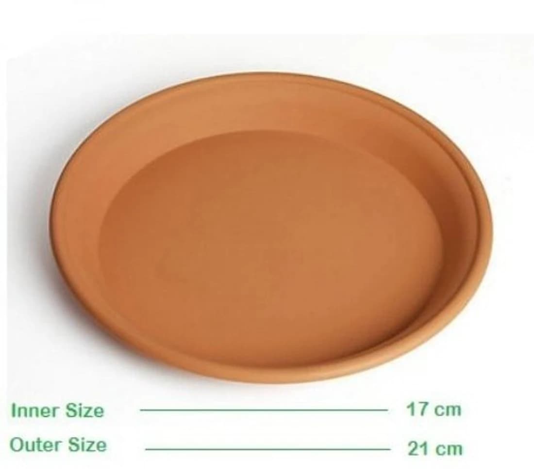 Minerva Naturals Plant Container Set