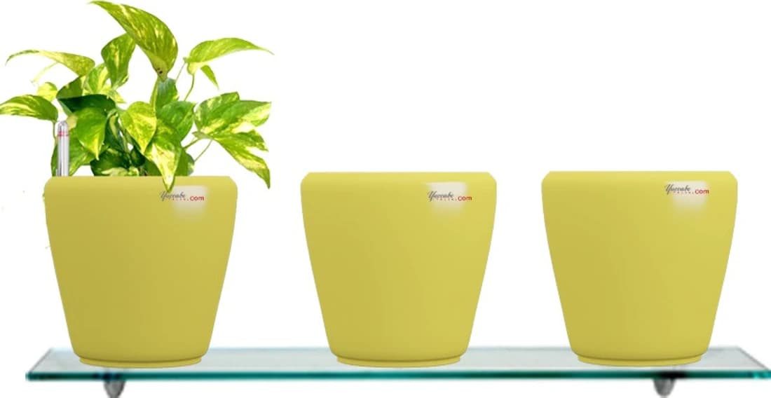 Yuccabe Italia Combo for 3 Stella Yellow Self Watering planter Plant Container Set