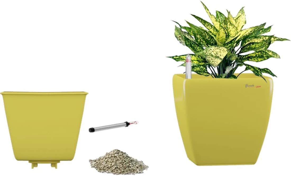 Yuccabe Italia Stella Yellow Self Watering Planter Plant Container Set