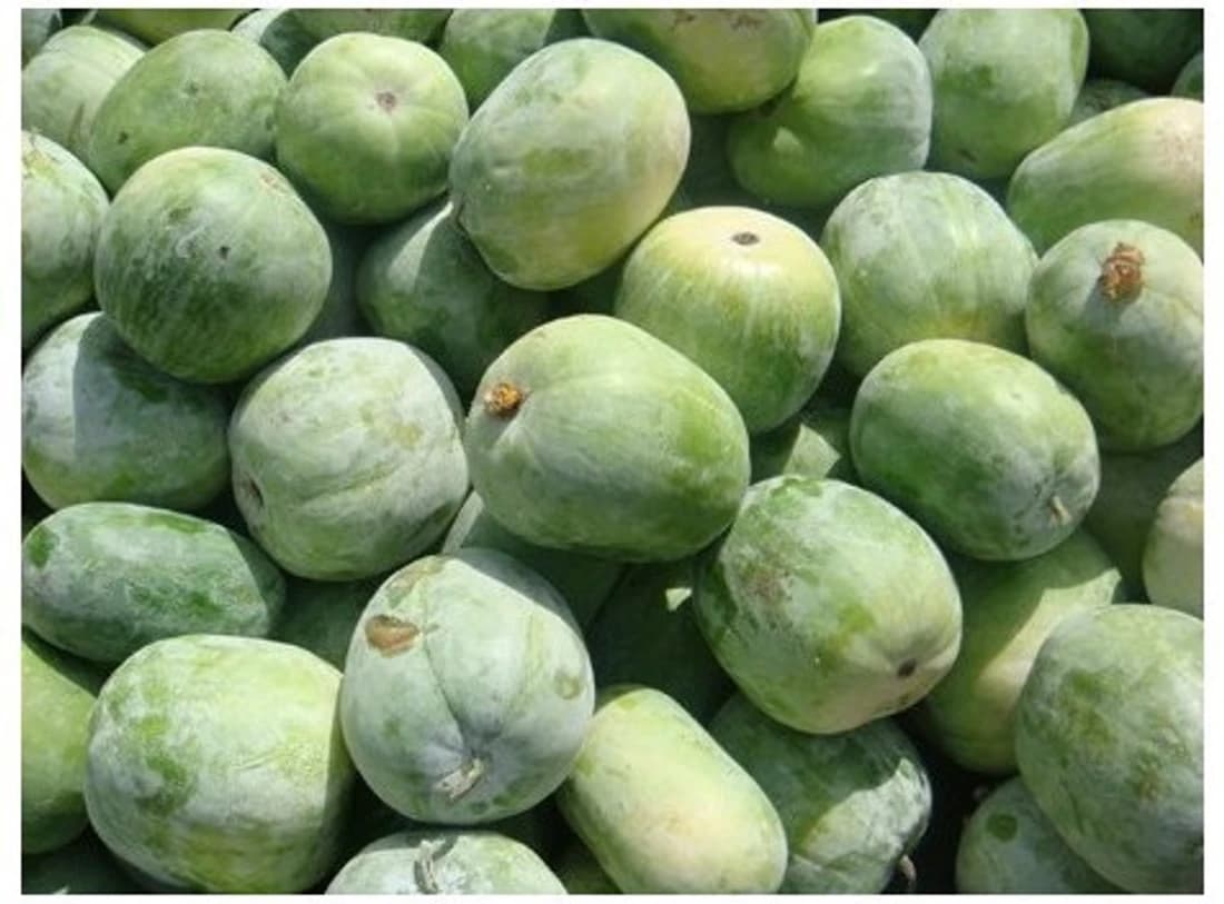 Agricart Ash Gourd Seed