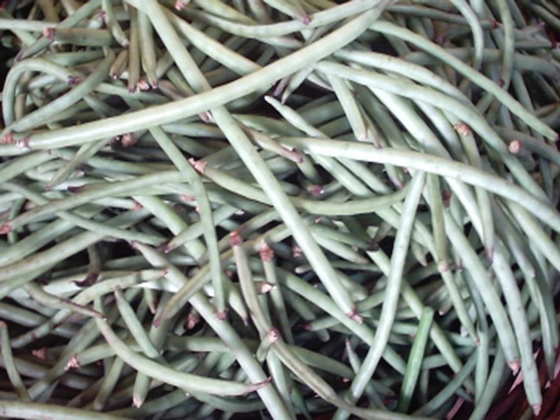 E-plant Black Eyed Peas Culinary Vegetable Seed