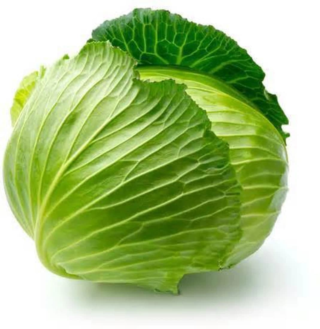 E-plant Culinary Vegetable Seed
