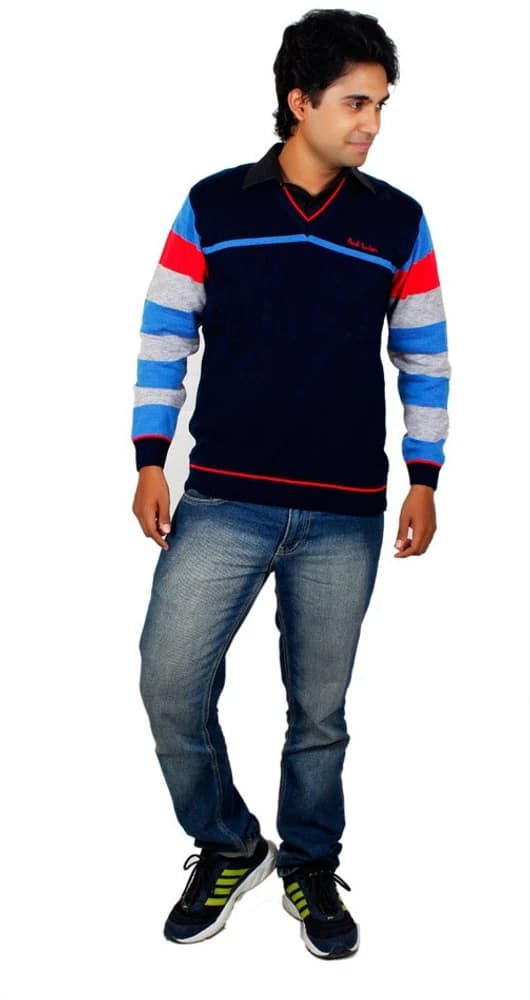 Alpine Enterprises Solid V-neck Men's Sweater