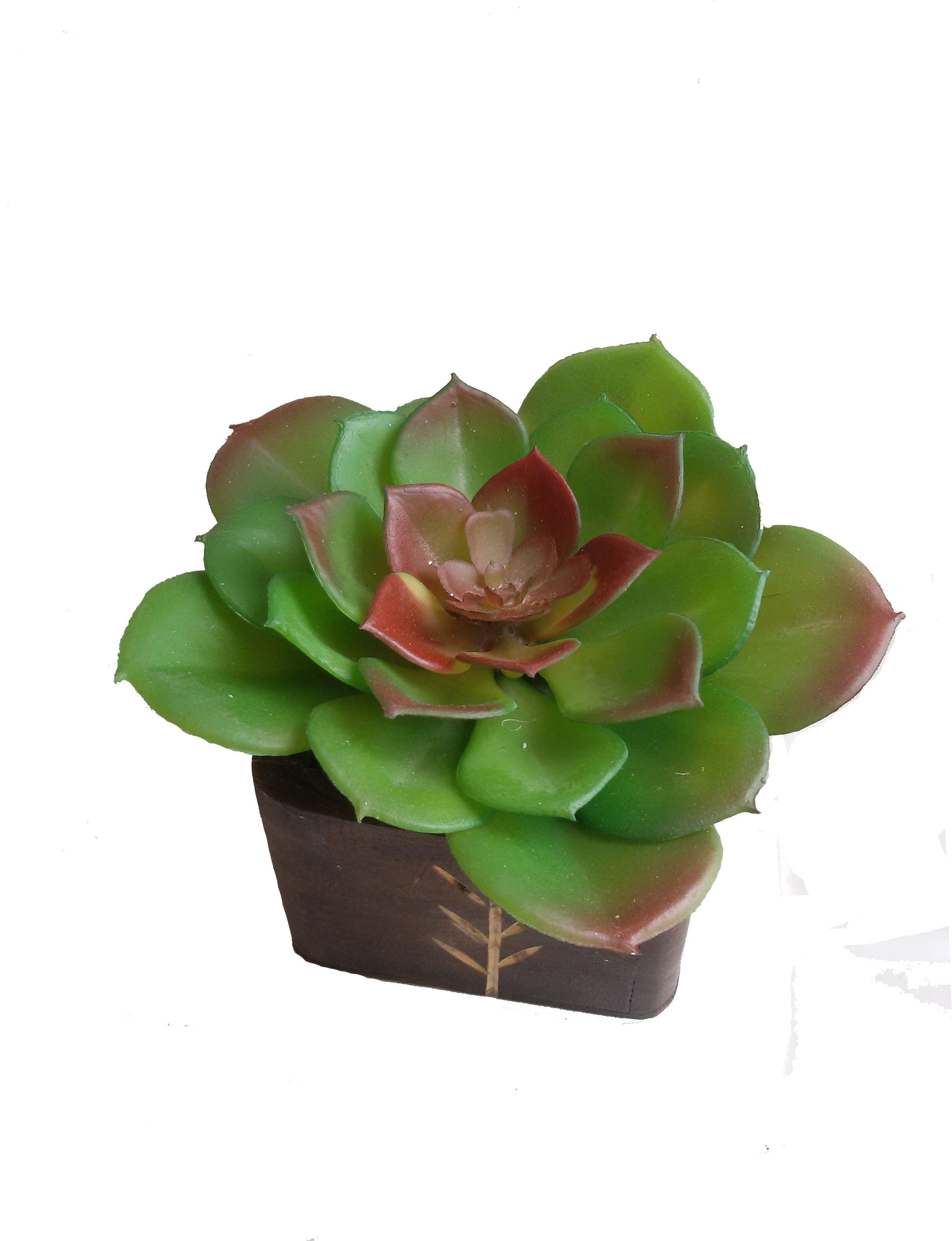 V Creations Bonsai Cactus Artificial Plant with Pot
