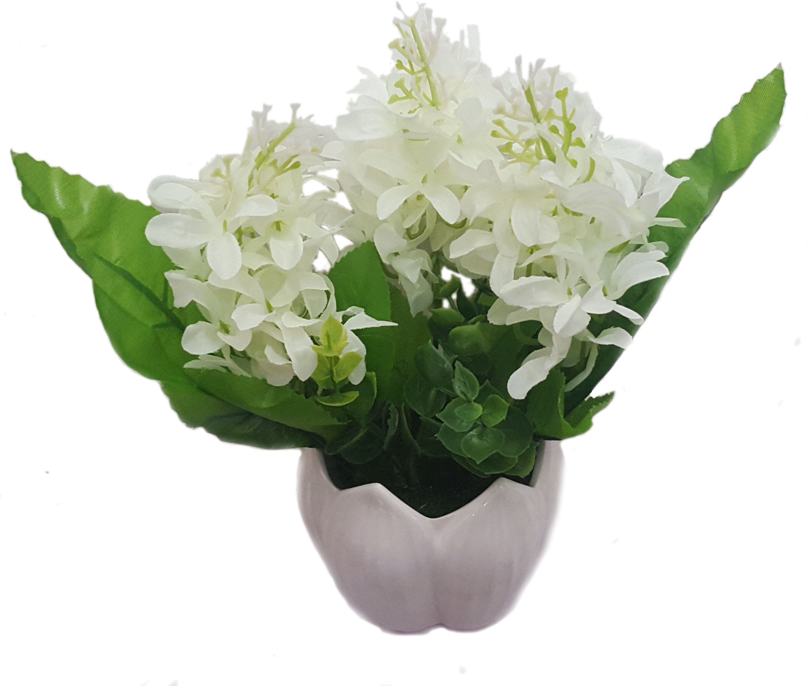 Decore Sources Assorted Artificial Plant with Pot