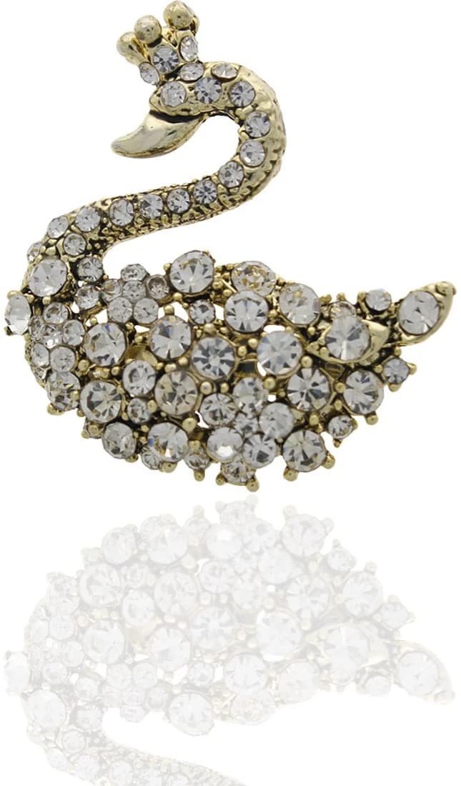 Anuradha Art Silver Polished Brooch
