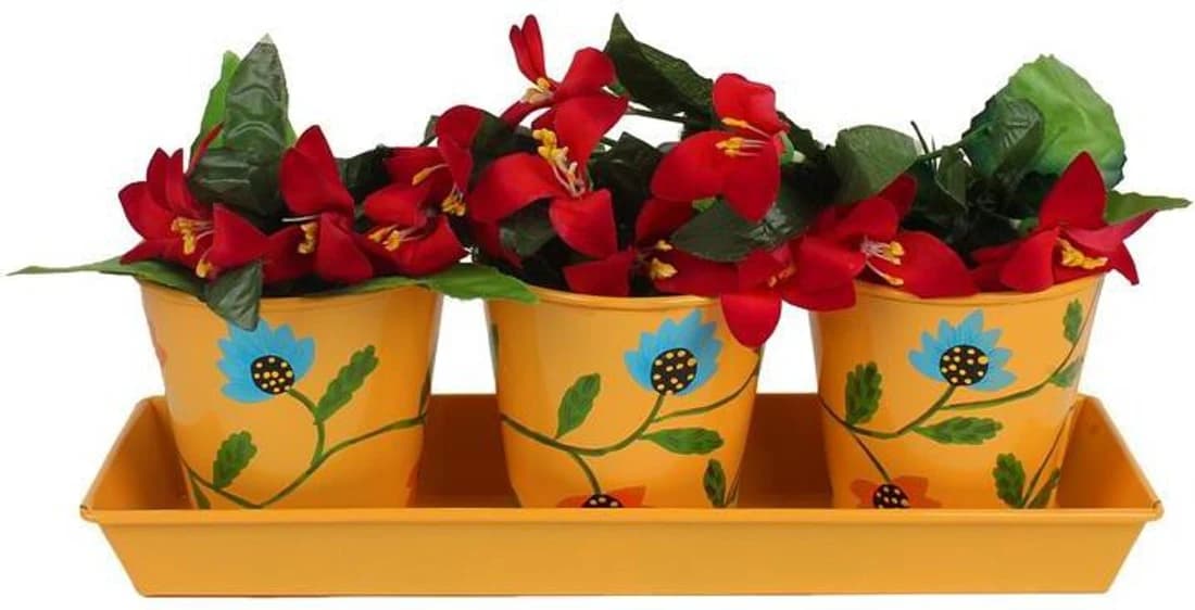 Wonderland Plant Container Set