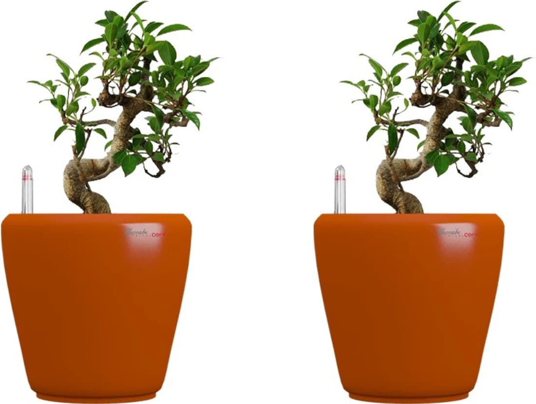 Yuccabe Italia Plant Container Set