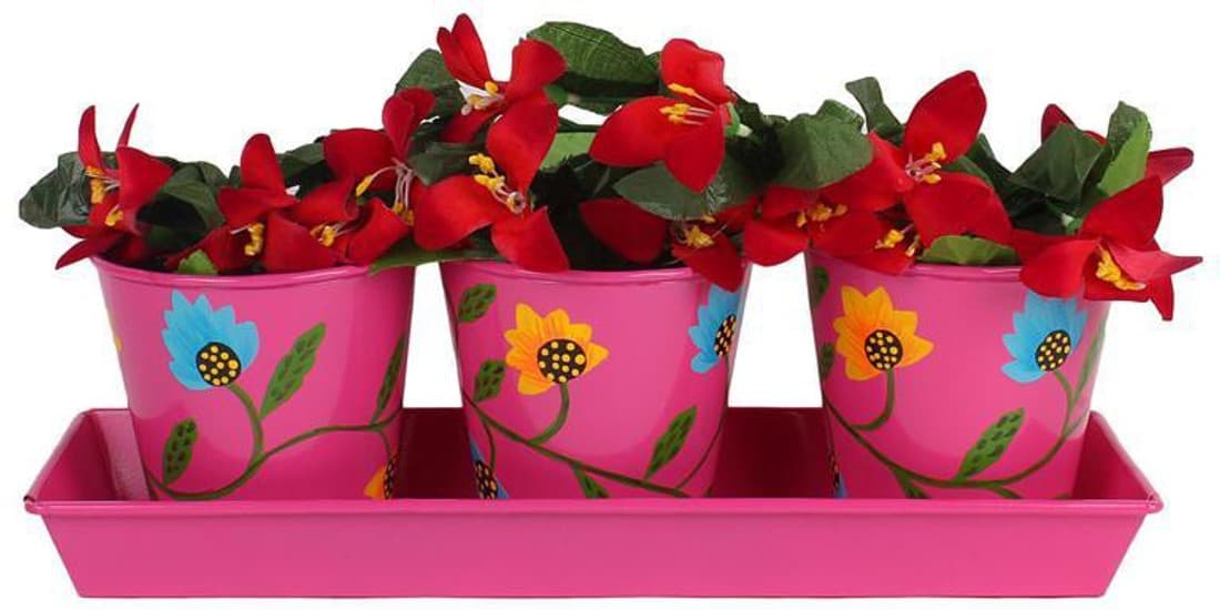Wonderland Plant Container Set