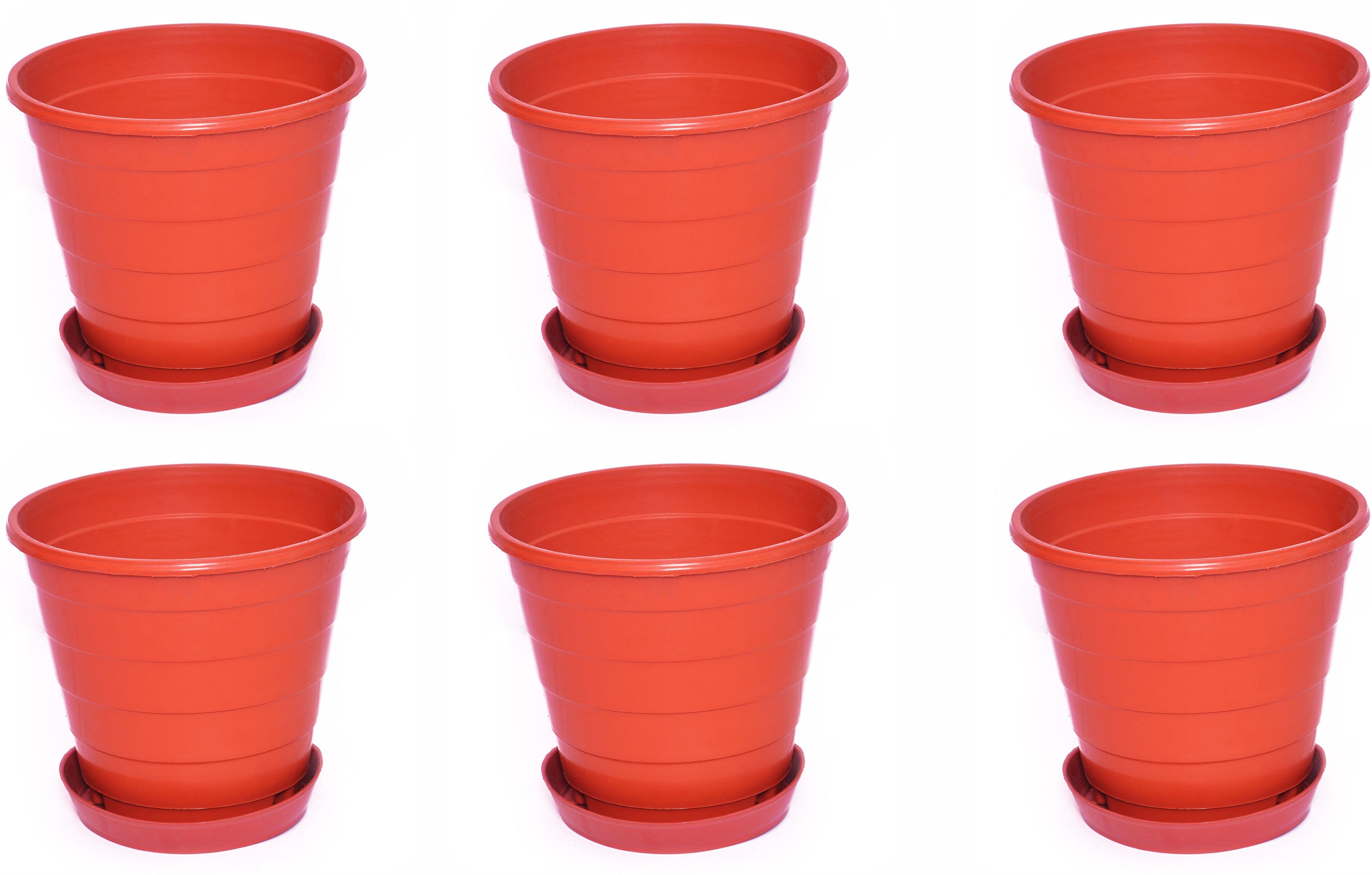 Blessed Ring Plant Container Set