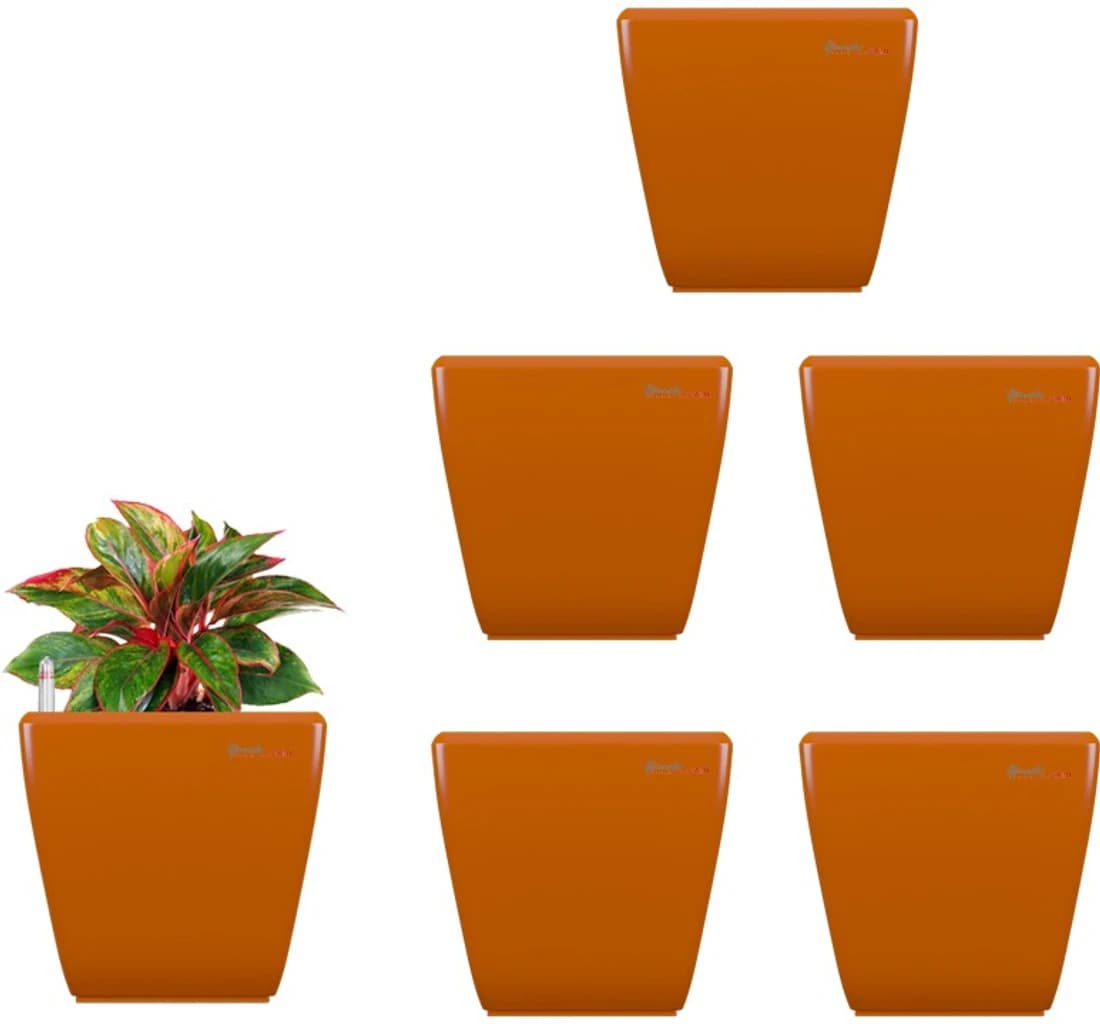 Yuccabe Italia Stella Orange Self Watering Plant Container Set
