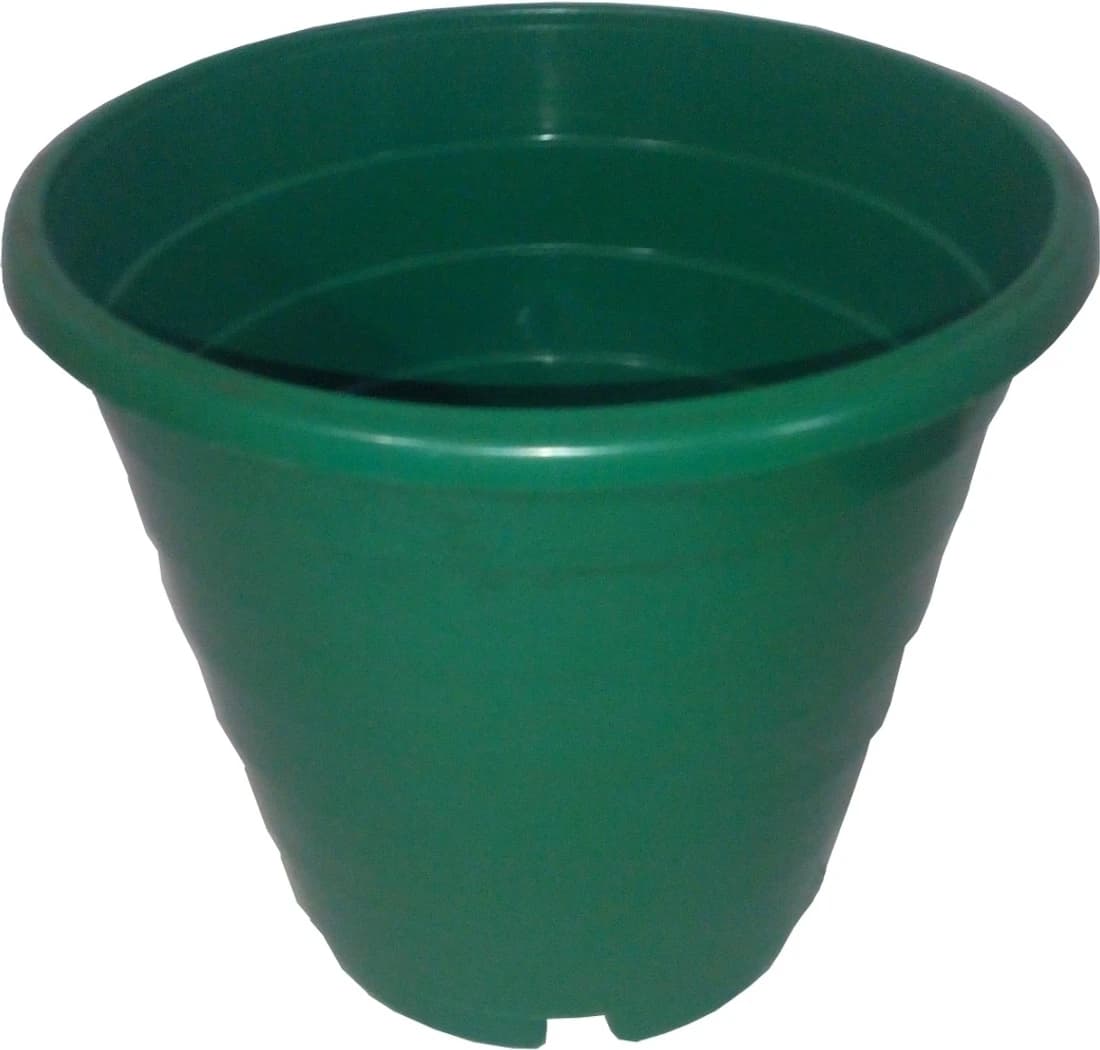 Blessed Ring Plant Container Set