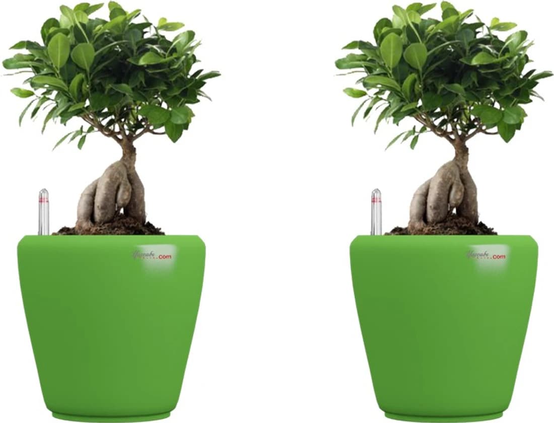 Yuccabe Italia Plant Container Set