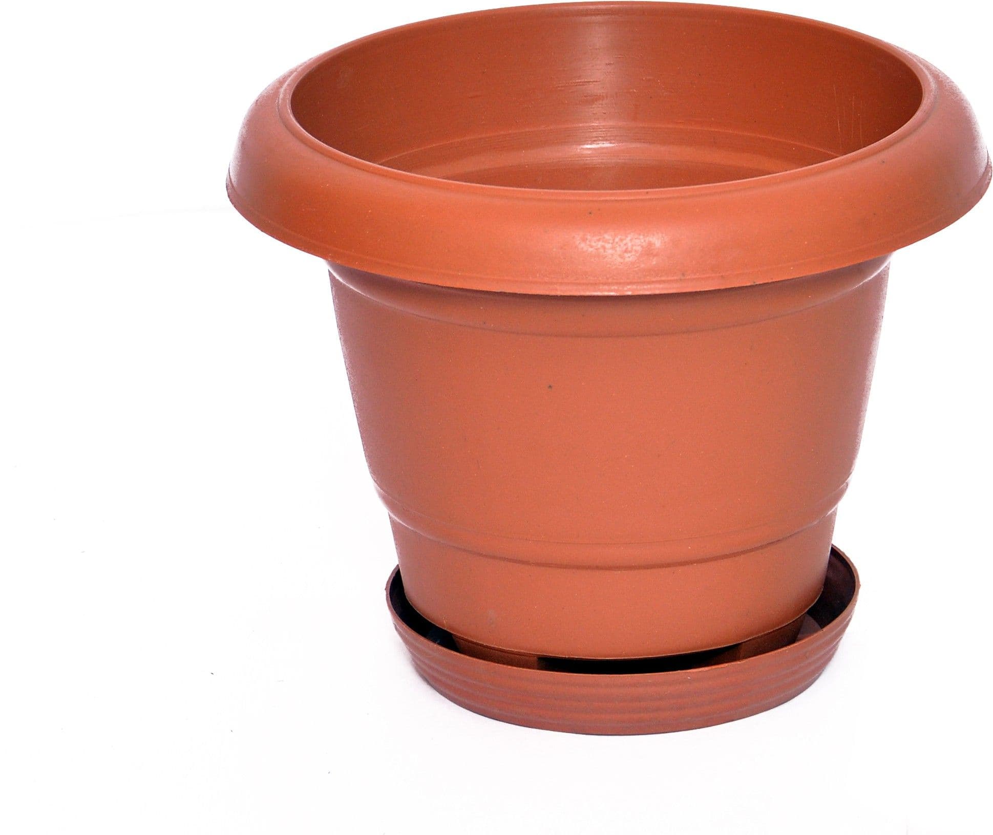 Blessed Plant Container Set