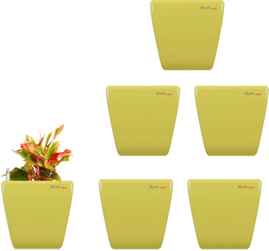 Yuccabe Italia Stella Yellow Self Watering Plant Container Set