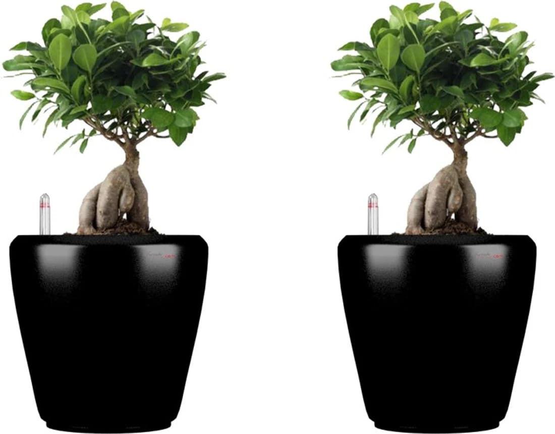 Yuccabe Italia Plant Container Set
